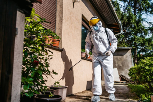 Best Best Pest Control Companies  in Paulden, AZ
